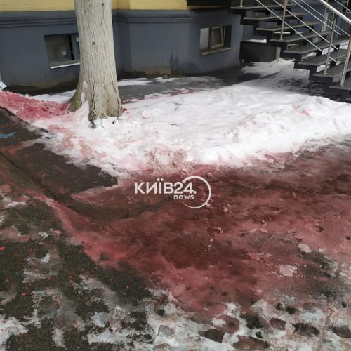 В Киеве неизвестные пытались испортить мурал Соне Морозюк: "стало лучше" (фото)